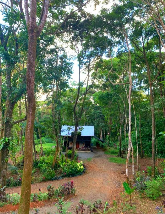 Cabana Eco-Arte Тортугаль Экстерьер фото