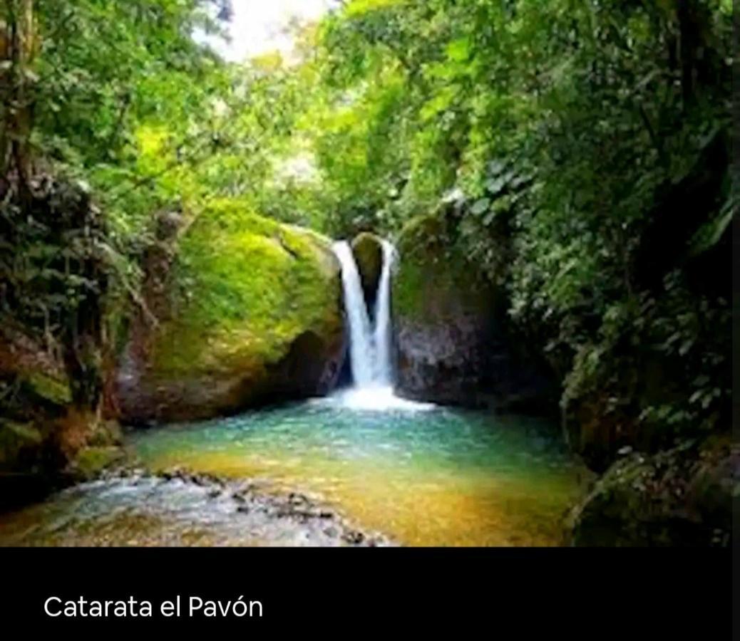Cabana Eco-Arte Тортугаль Экстерьер фото