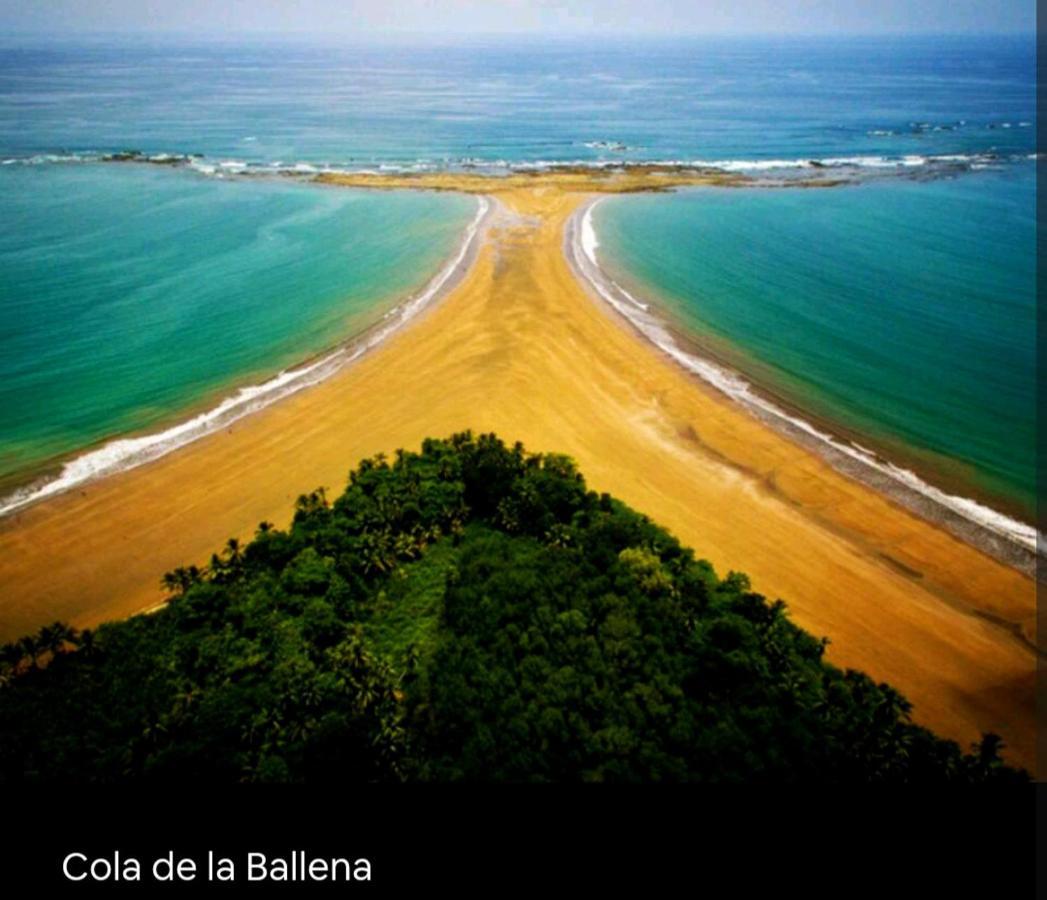 Cabana Eco-Arte Тортугаль Экстерьер фото