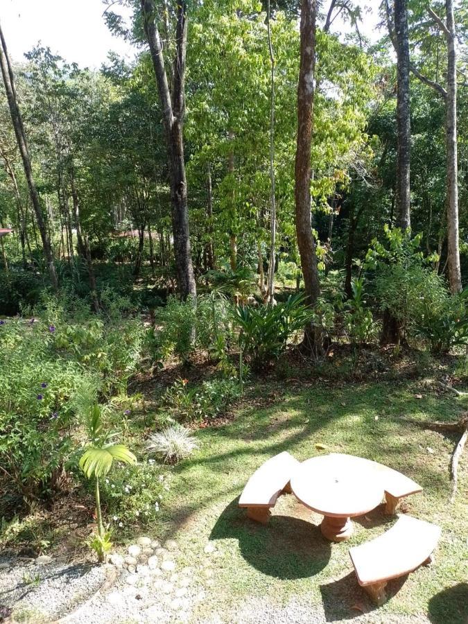 Cabana Eco-Arte Тортугаль Экстерьер фото